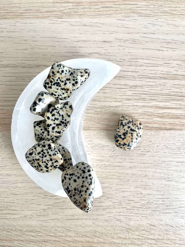 Diaspro Dalmata -Riflessione - Effetto calmante