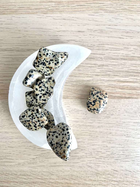 Diaspro Dalmata -Riflessione - Effetto calmante