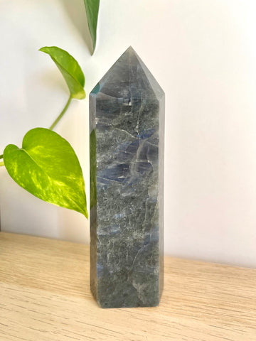 Obelisco in Labradorite - Poliedricità- Fascino - Magnetismo